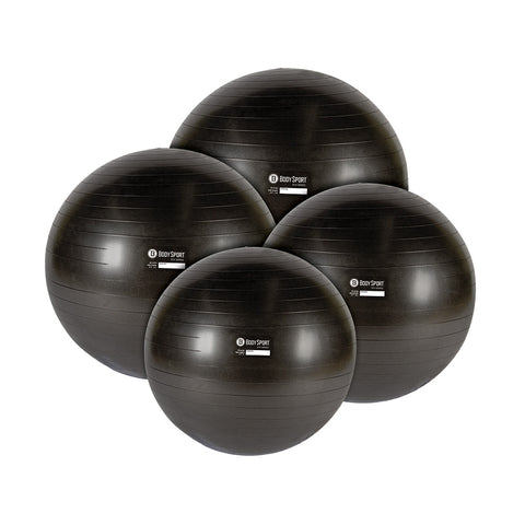 Eco Series Exercise Balls - Home Workout Gear